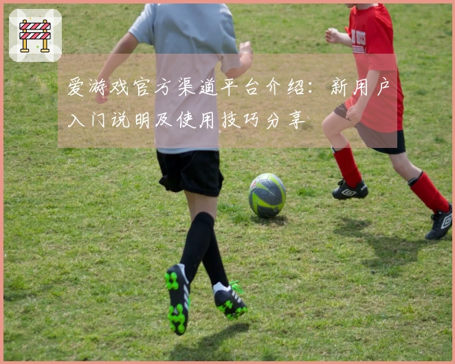 爱游戏官方渠道平台介绍：新用户入门说明及使用技巧分享
