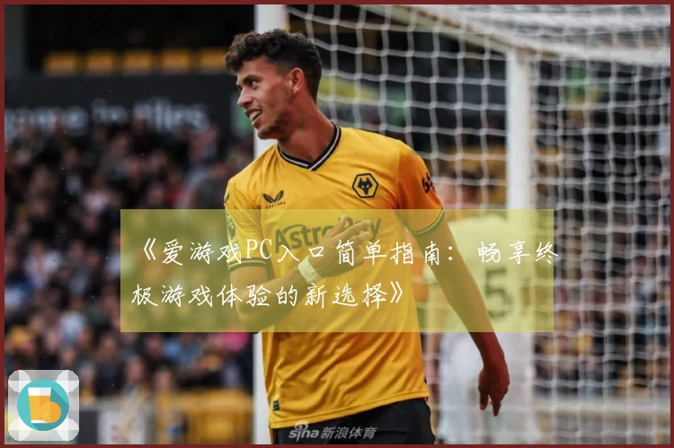 《爱游戏PC入口简单指南：畅享终极游戏体验的新选择》